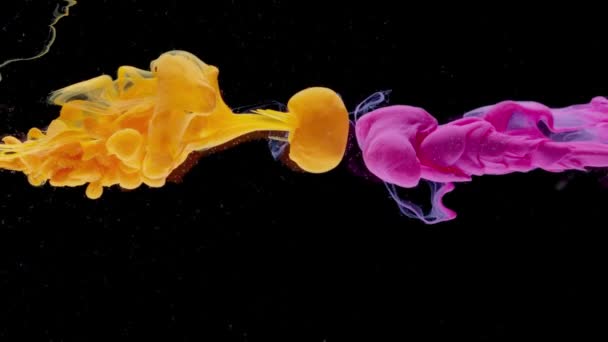 Pink Yellow Ink Paint Drops Water Mixing Slow Motion Black — Stock Video