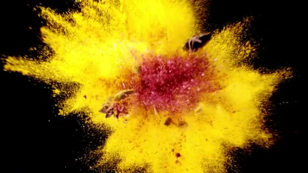 Exotiska Kryddor Flyger Upp Slow Motion Kryddor Explosion Svart Bakgrund — Stockvideo