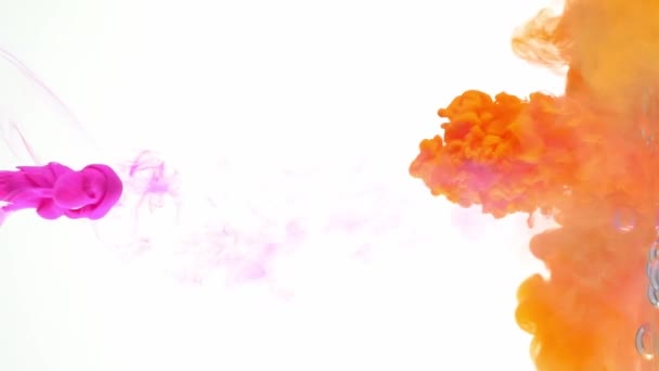 Colorful Orange Purple Ink Paint Colliding Mixing Water White Background — Stock Video