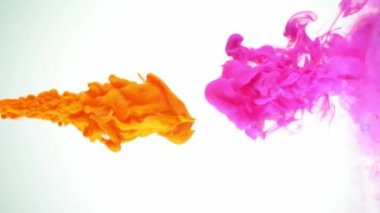 Renkli turuncu ve mor mürekkep boyası çarpışıyor ve beyaz arka planda suya karışıyor. Yavaş çekim