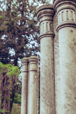 Gökyüzü ve ahşap arka plandaki gri beton sütunların tepesi