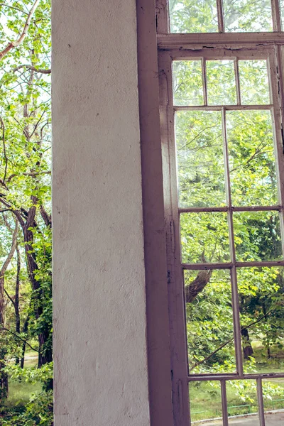 White column and window, garden view with trees and grass