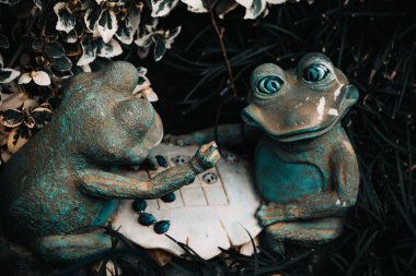 2 kurbağa iskambil oynuyor