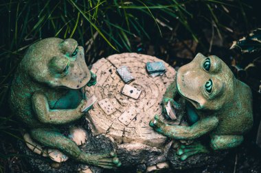 2 kurbağa iskambil oynuyor