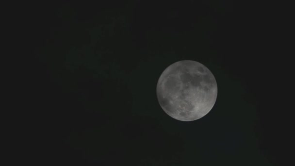 Luna piena, luna, lampo di luna, chiaro di luna — Video Stock