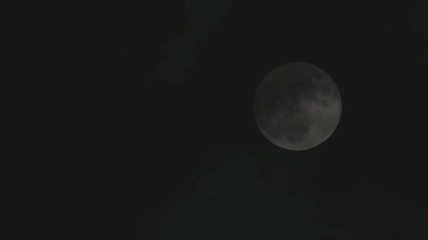 Luna llena, Luna, Flash de luna, Luz de luna — Vídeos de Stock