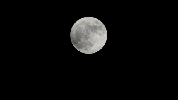 Luna llena, Luna, Flash de luna, Luz de luna — Vídeos de Stock