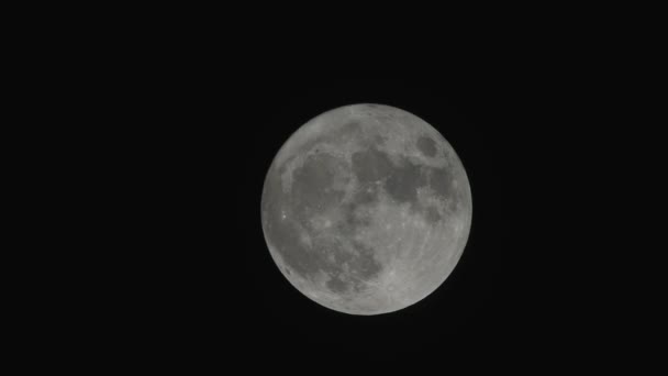 Luna piena, luna, lampo di luna, chiaro di luna — Video Stock