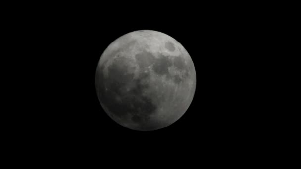 Full Moon, Moon, Moonflash, Moonlight — Stock Video