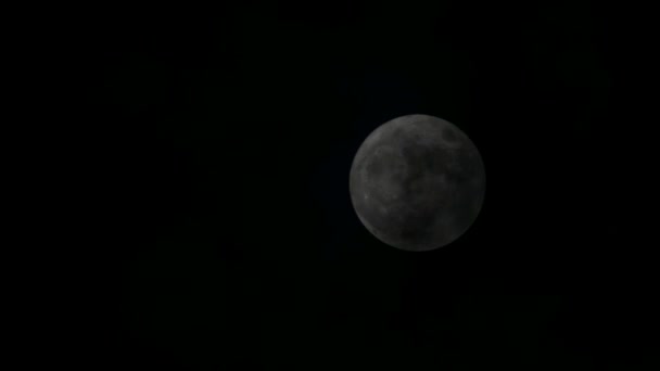 Luna piena, luna, lampo di luna, chiaro di luna — Video Stock