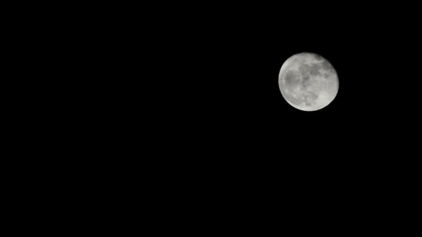 Luna llena, Luna, Flash de luna, Luz de luna — Vídeos de Stock