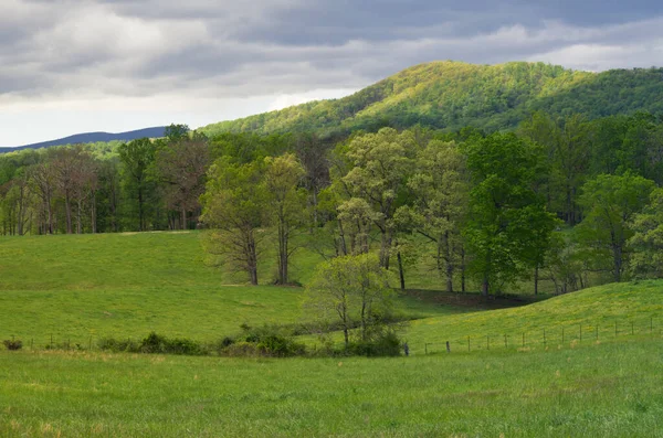 Pasto Montanha Uma Tarde Primavera Nas Montanhas Blue Ridge Após — Fotografia de Stock