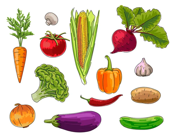 Набор овощей, рисунок вручную — стоковый вектор