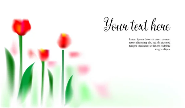 Tulipán akvarell és a kalligráfia szöveges háttérben — Stock Vector