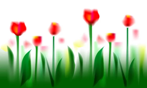 Fondo suave de campo de tulipanes en forma de acuarela — Archivo Imágenes Vectoriales