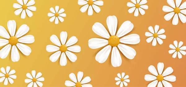 Spring or summer nature background with white realistic daisy flowers decor ornament pattern — ストックベクタ