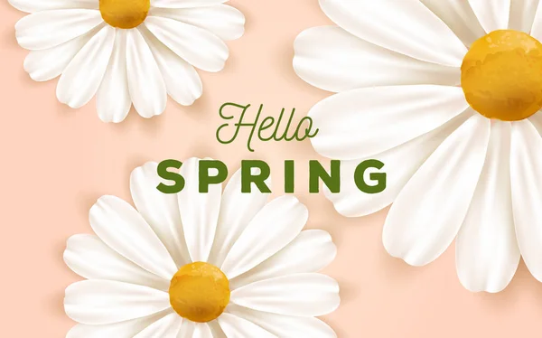 Latar belakang alam musim semi atau musim panas dengan gambar bunga daisy putih yang realistis dan halo tipografi musim semi - Stok Vektor