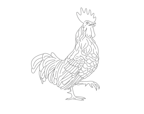 Linienzeichnung Zeichnung Illustration Des Hahns Cock Vogel Maskottchen Konzept Symbol — Stockvektor