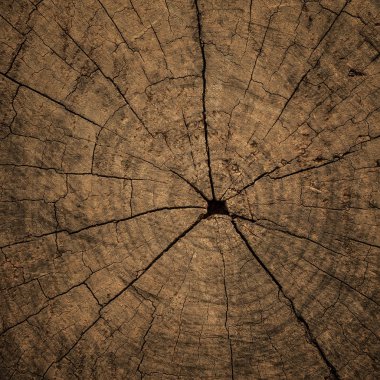 kahverengi eski ahşap arka plan için kullanma