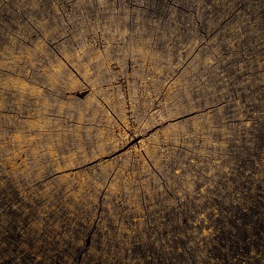 kahverengi eski ahşap arka plan için kullanma