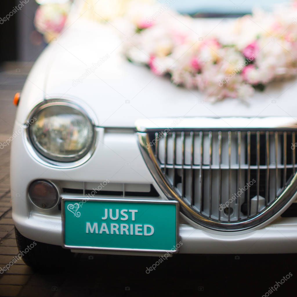Just married wedding sign for car or decoration