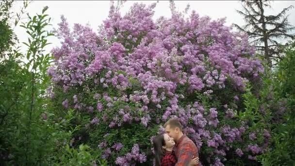 Sensual couple found privacy in blossoming lilac orchard under tree full of small flowers. Handsome young man embraces pretty girl and preparing to kiss her — Stock Video