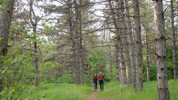Hermosa pareja elegante en el amor, caminando en el bosque, cita romántica . — Vídeo de stock