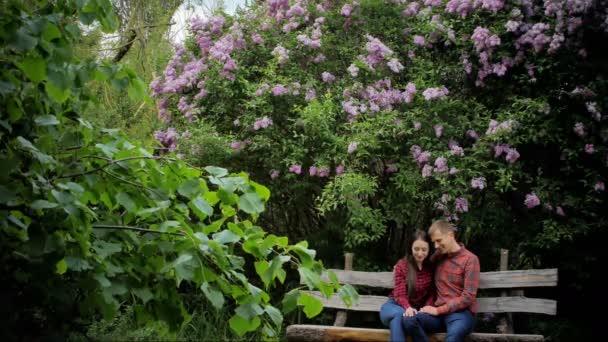 Романтическая пара, сидящая на скамейке в парке летом — стоковое видео