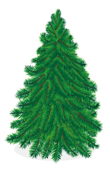 Weihnachtsbaum-Vektor auf weißem Hintergrund — Stockvektor