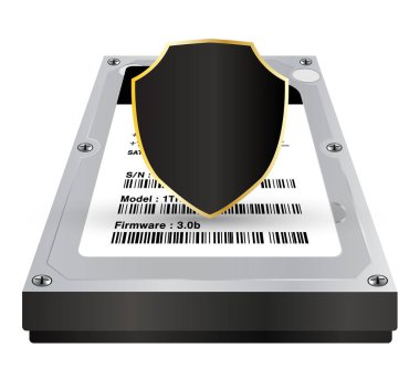 bir koruma veri koruması ile dahili sabit disk