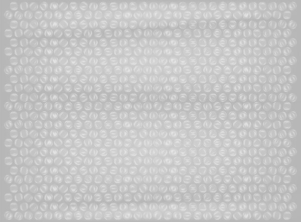 real plastic bubble wrap background vector