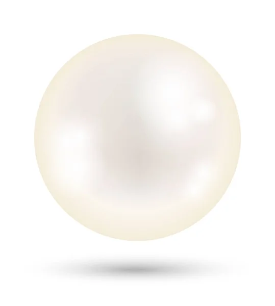白地に明るいパール ホワイト — ストックベクタ