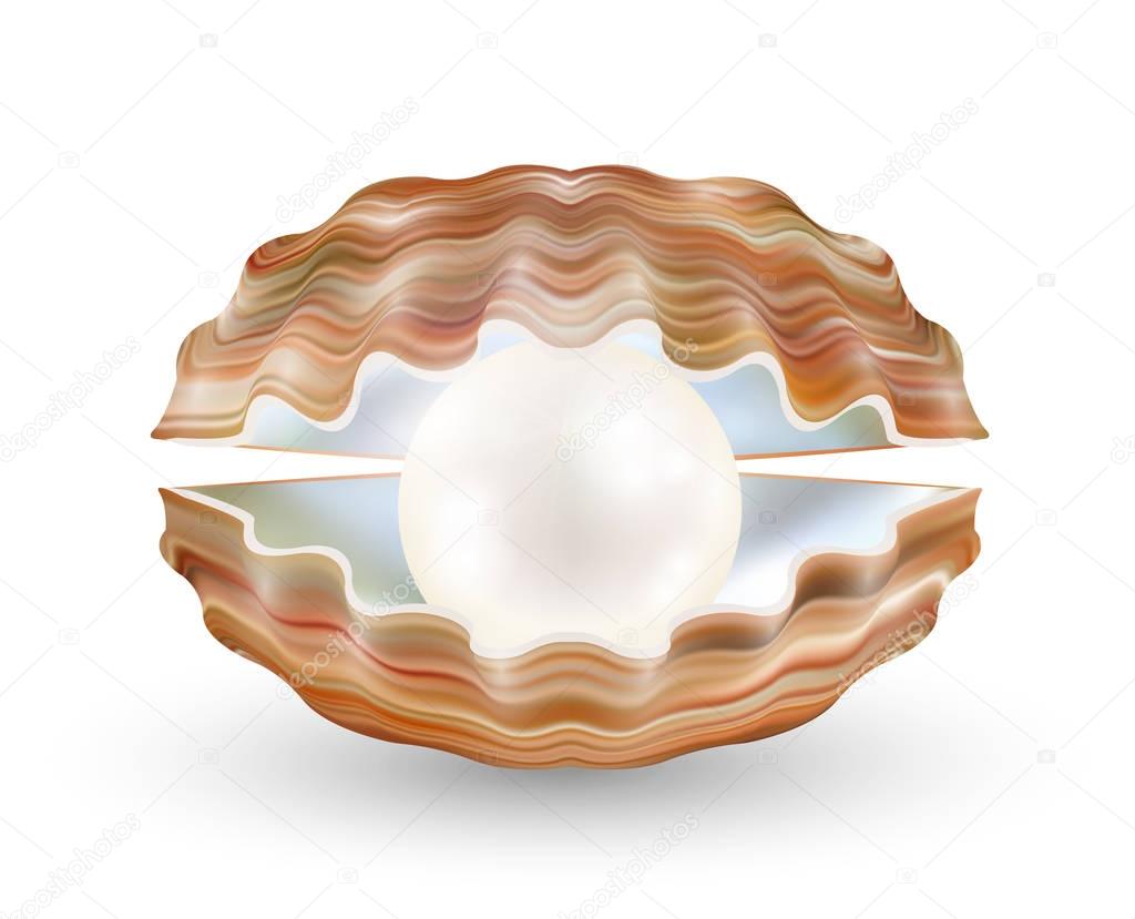 bright pearl in a opened sea shell 