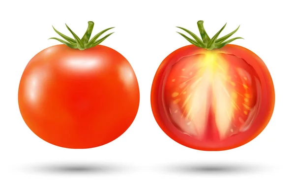 Un tomate rojo real sobre un fondo blanco — Vector de stock