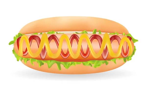 Salchicha de perro caliente real con salsa en un pan sobre un fondo blanco — Vector de stock