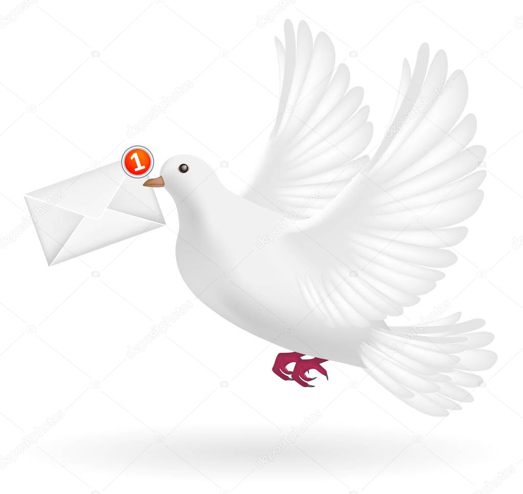 white pigeon flying with envelope mail message