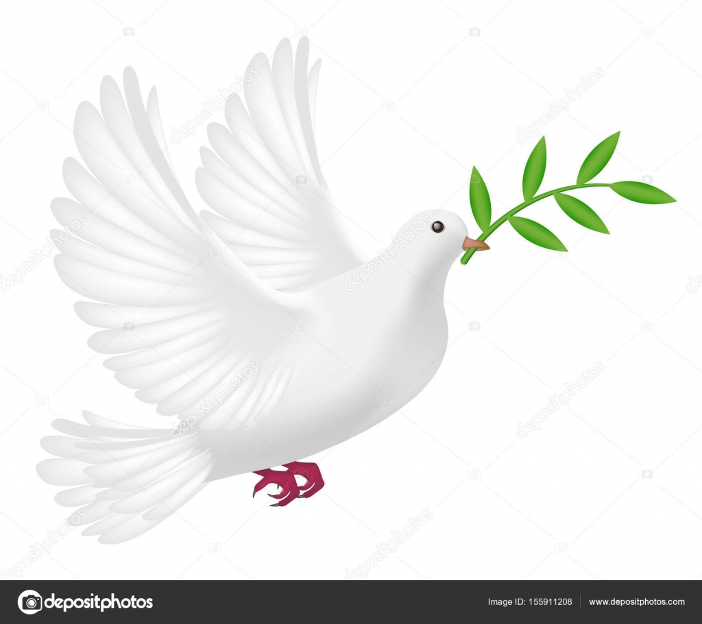 Paloma blanca volando con concepto de hoja paz vector, gráfico