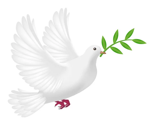 Yaprak kavram barış ile uçan beyaz güvercin — Stok Vektör
