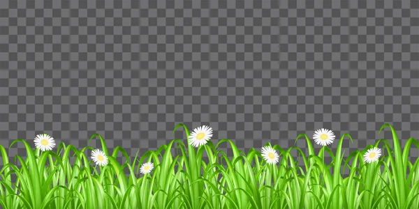 Gras en bloem op transparante achtergrond vector — Stockvector