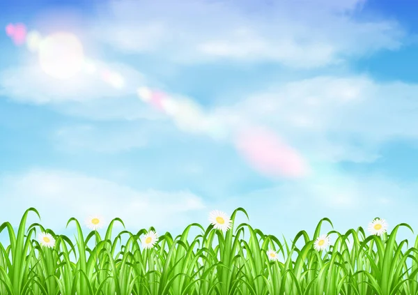 Gras en bloem met hemel achtergrond vector — Stockvector