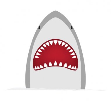 beyaz izole arka planda büyük köpek balığı