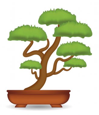 bonsai ağacı üzerinde beyaz arka plan vektör