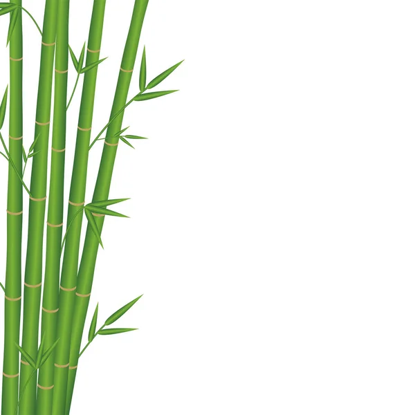 Estilo Japonés Bambú Sobre Fondo Blanco — Vector de stock