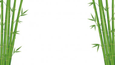 Beyaz bir arka plan bambu Japonya stili