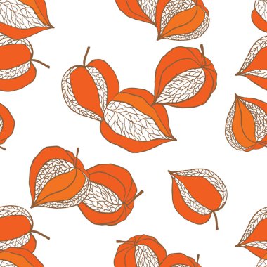 Cape bektaşi üzümü vektör sorunsuz arka plan