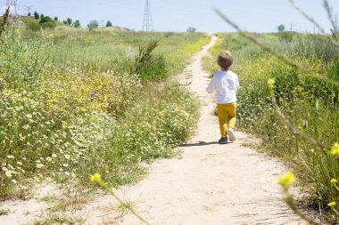 Özgürce papatya tarlasında koşan çocuk.