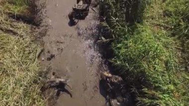 ATV durur bataklık içinde taşır..