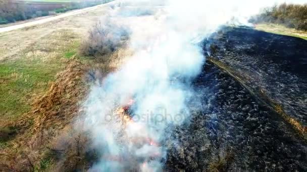 Vue aérienne du brûlage d'herbe sèche dans la steppe 