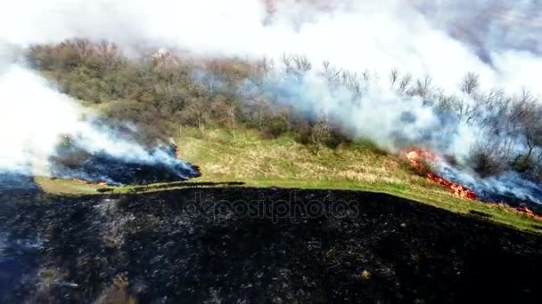 Вид с воздуха на сжигание сухой травы в степи — стоковое видео