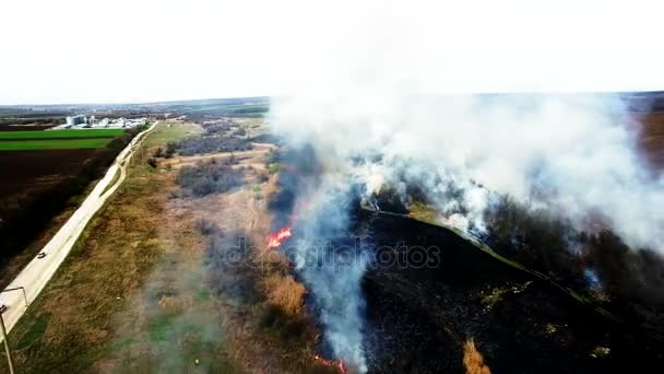 Вид с воздуха на сжигание сухой травы в степи — стоковое видео